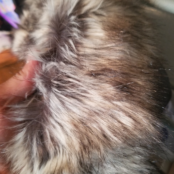 The north face mcmurdo parka + the north face pant - Picture 5 of 5